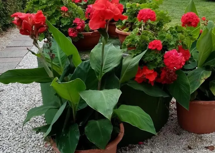 Hébergement de vacances Am By Interhome *